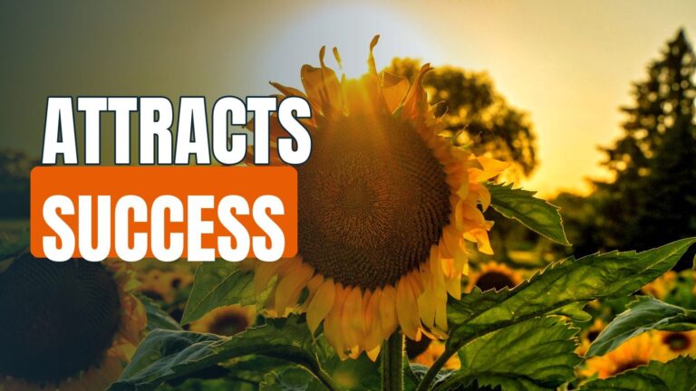 The Attitude That Attracts Success