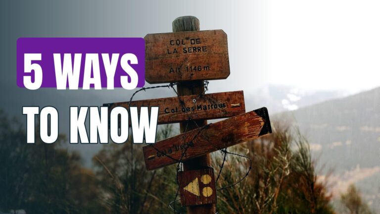 5 Ways To Know If A Certain Business Opportunity Is Right For You!