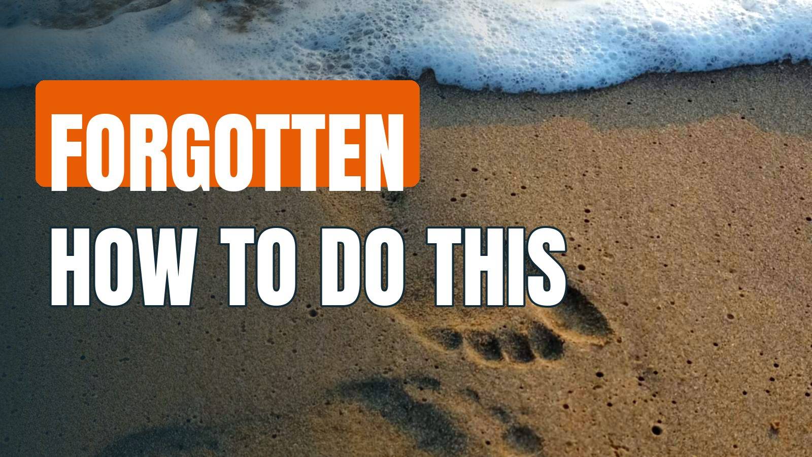 Virtually Every person On Earth Has Forgotten How To Do This