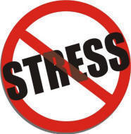 3 Magic Words That Eliminate Stress Instantly!